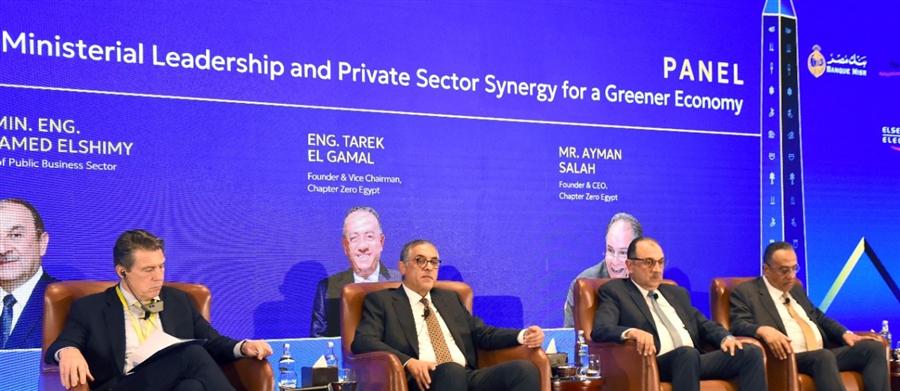 Egypt's renewables sector to boom with solar panel production takeoff in Q1 2026: Heiba

